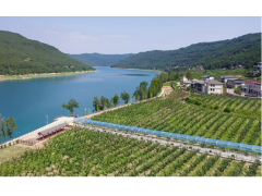 ��Ƿ�ɢ��ִ�ũҵ��ɫ��չ��˶��