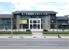 ��Ƿ�ɢ����������ںϷ�չ��˶��